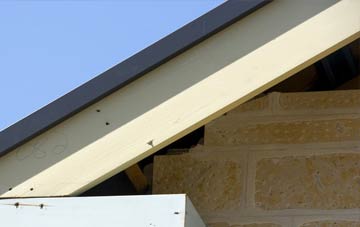 Mill Loughan fascia repairs
