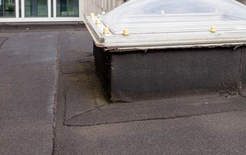 disadvantages of Mill Loughan flat roofs