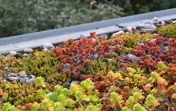 the cost of Mill Loughan green roof installation