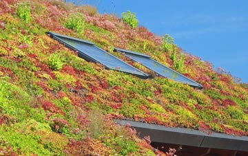 Mill Loughan living roof systems