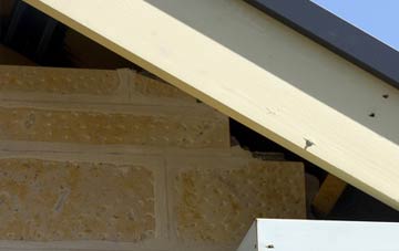 soffit repair Mill Loughan